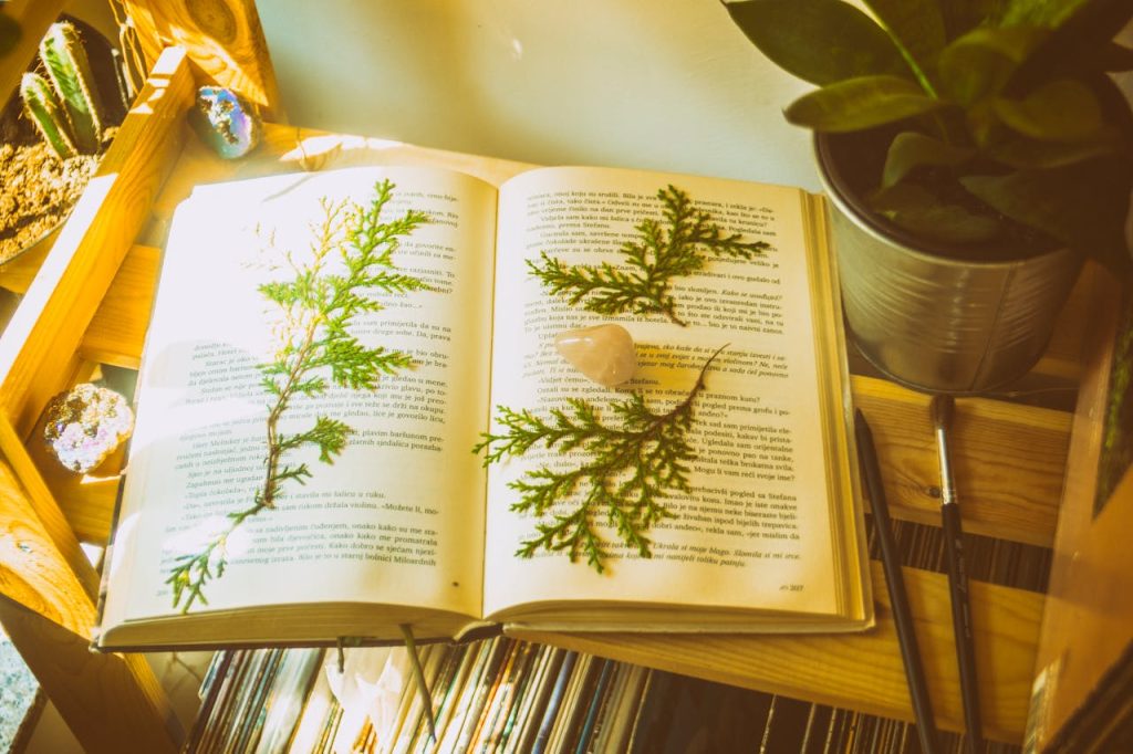 An open book with pressed ferns and crystals on a sunny wooden shelf with plants.